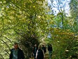 Roentgenlauf 2015 - 124.jpg